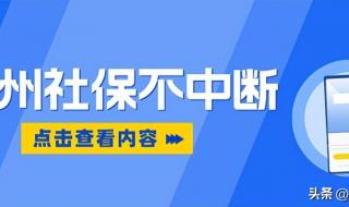 杭州个体户灵活就业社保怎么缴纳 杭州社保怎么交