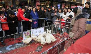 除了王者荣耀还有什么好玩的游戏 还有什么好玩的游戏