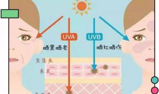 隔离霜和防晒霜的使用顺序 隔离和防晒哪个先用