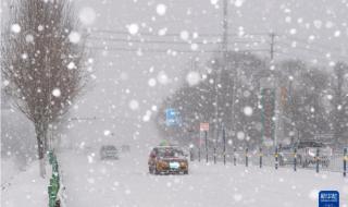 2021年11月3日几度 东北将迎11月来第三轮雨雪