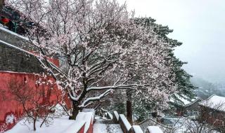 一月至十二月打雷分别代表什么 正月雷打雪有什么说法