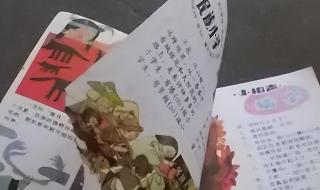 树下的小学课文原文 大青树下的小学课文