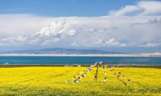 青海湖旅游十大必备物品清单 青海湖最佳旅游月份